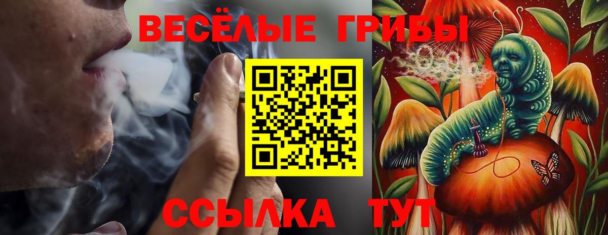 Галлюциногенные грибы прущие грибы Серпухов